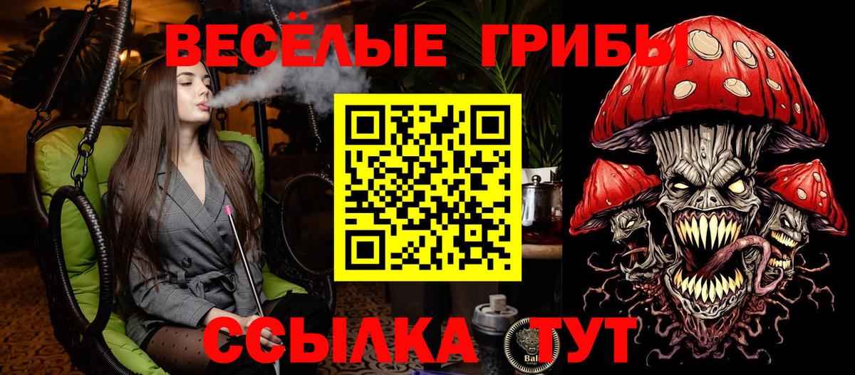 Галлюциногенные грибы GOLDEN TEACHER  купить   Вход с VPN  Муром  Псилоцибиновые грибы прущие грибы 